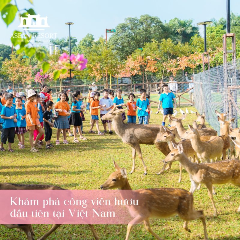 tham quan công viên vườn hươu