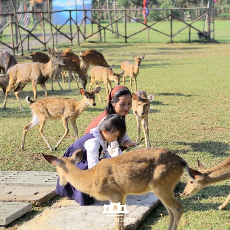 https://aseanresort.vn/
